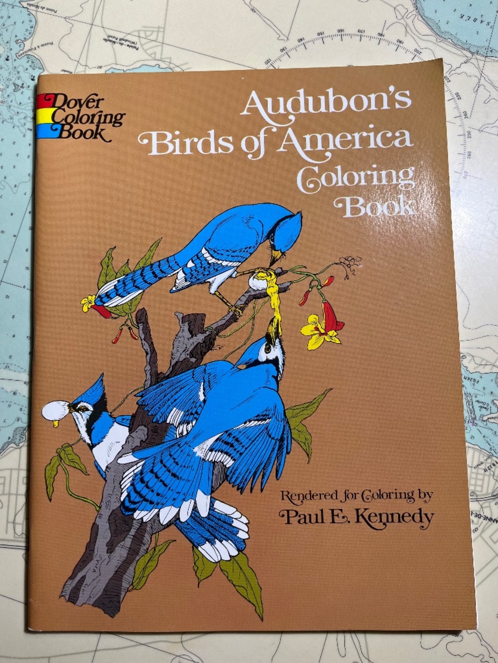 Audubon’s Birds of America Colouring Book